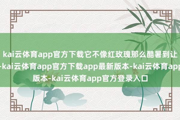 kai云体育app官方下载它不像红玫瑰那么酷暑到让东说念主出汗-kai云体育app官方下载app最新版本-kai云体育app官方登录入口