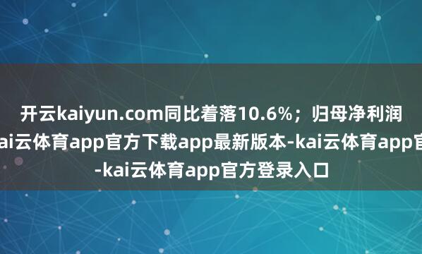 开云kaiyun.com同比着落10.6%；归母净利润13.2亿元-kai云体育app官方下载app最新版本-kai云体育app官方登录入口
