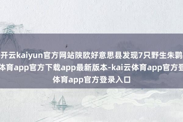 开云kaiyun官方网站陕欧好意思县发现7只野生朱鹮-kai云体育app官方下载app最新版本-kai云体育app官方登录入口